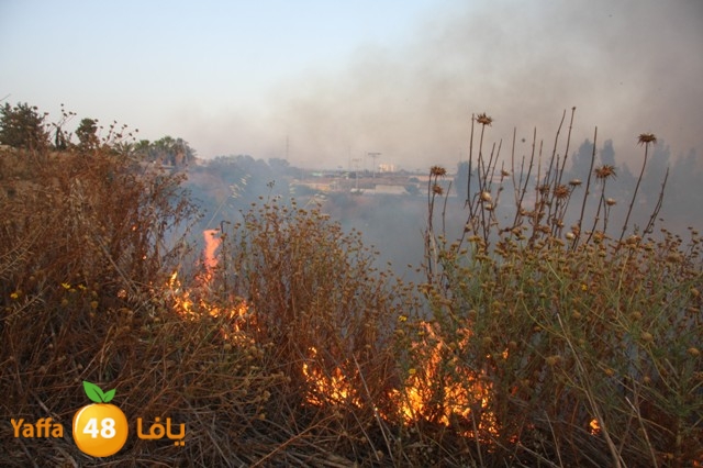 fireina7rashyaffa505 (25).JPG